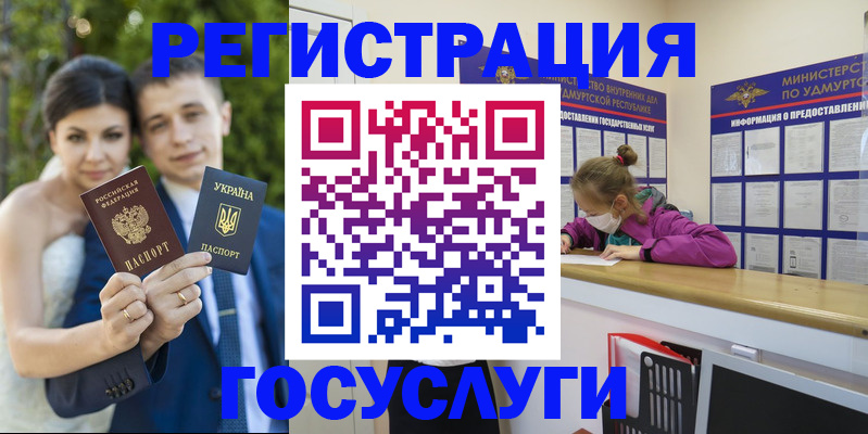 прописка поиск в Чегеме